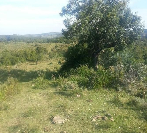 Imagen 3 de 14 de Quinta En Venta En Garzon