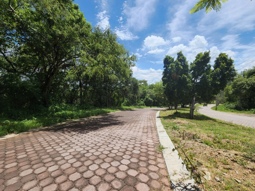 Venta Lote San Diego 56 Sobre Avenida Principal Y Cercanía A Las Amenidades Del Fracc Rancho San Diego Ixtapan De La Sal Edomex