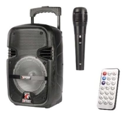 Bocina 8 Pulgadas Control Y Microfono Karaoke 
