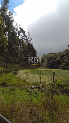 Terreno Em Primeiro Distrito - El56353457