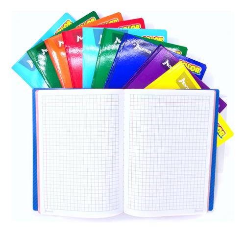 3 Cuaderno Cosido Tamaño Profesional Norma 100 Hojas