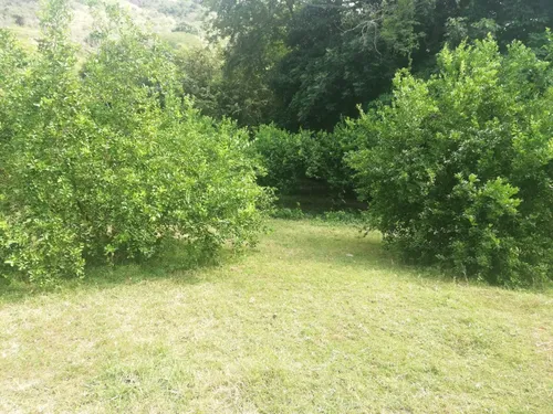 Finca Ganadera Con Nacimiento De Agua Propio