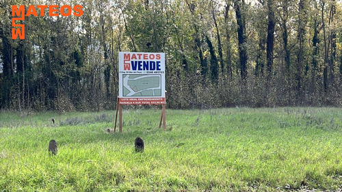 Venta Lote Sobre El Monte De Santa Teresita Ideal Para Emprendimiento Calle Entre Rios Y General Paz