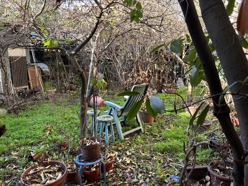 Venta De Casa En Sector Centro De Talca