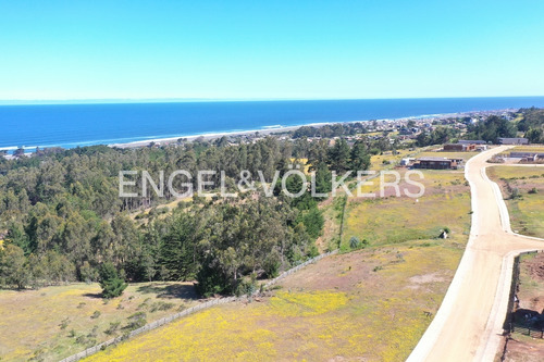 Excelente Terreno En Punta De Lobos