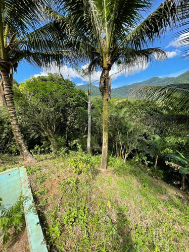 Imagem 8 de 14 de Chácara À Venda Com 4.300 M² Em Pedro De Toledo. 1301