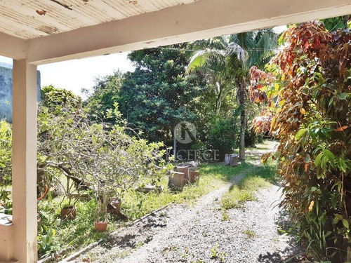 Imagem 10 de 13 de Chácara Rural Na Praia Da Tapera, Florianópolis - . - Ch0002