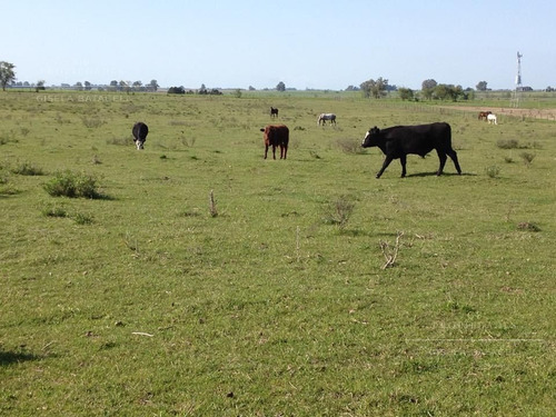 Venta, Lote, El Chajá, Exaltación De La Cruz