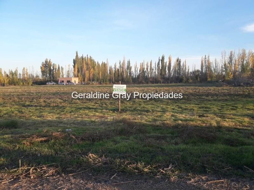 Venta Terreno / Lote General Fernández Oro