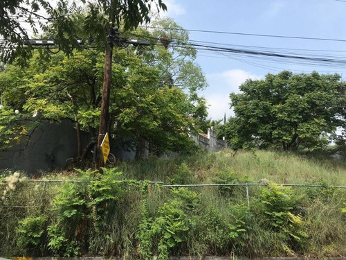 Imagen 4 de 7 de Terreno En Venta Valle De San Angel