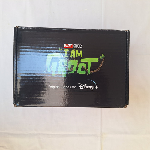 Funko Marvel Collector Corps: I Am Groot 5 Piezas (Usado)