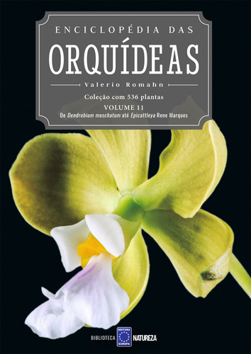 Enciclopédia das Orquídeas - Volume 11, de Editora Europa. Editorial Editora Europa Ltda., capa mole em português, 2021
