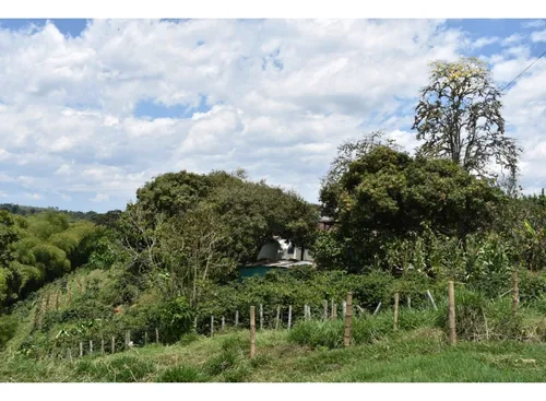 Se Vende Lote En Quimbaya Quindío