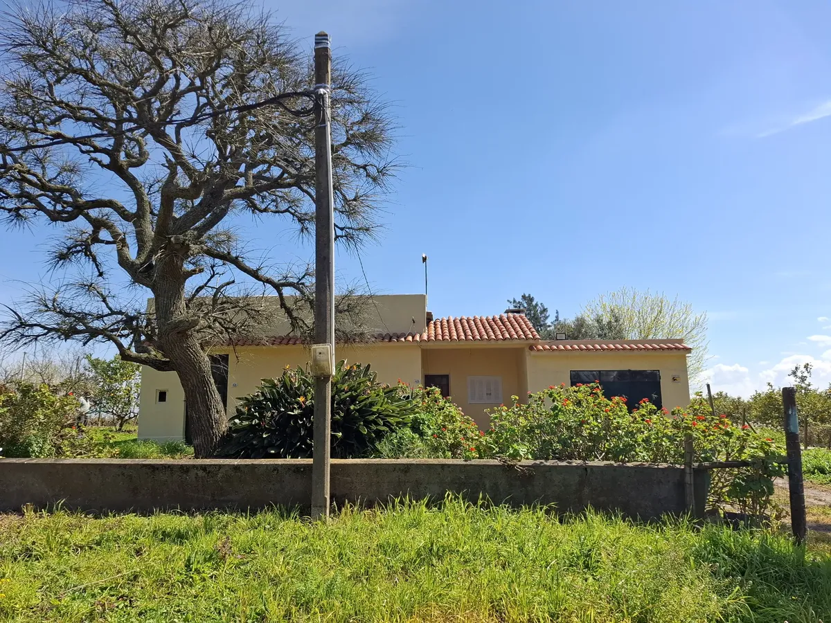 Casona Reciclada En Lindo Entrono Verde De Quintas. Tres Dormitorios. Estufa . Garage.. Proxima A Uam. Redención.  A 15 Minutos De Montevideo Por Ruta 5. Aceptan Mascotas. Garantía Pòliza De Seguro. · Foto 2