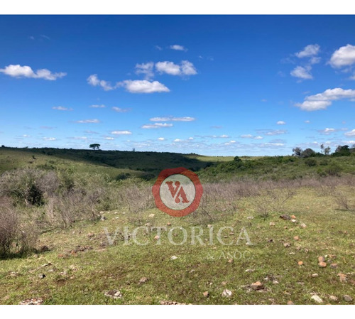 ¡excelente Inversión En Artigas! Campo Ganadero, Casa Principal, Casa Personal, Casa Capataz, Ecepcional Plan De Financiación.