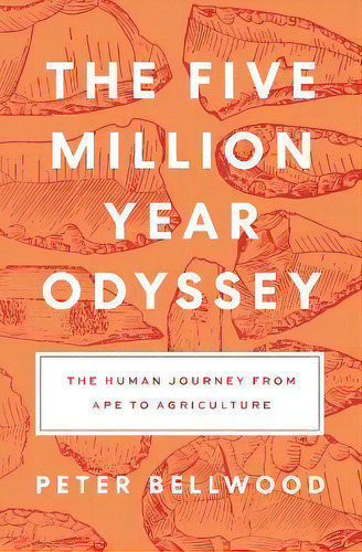 The Five-million-year Odyssey : The Human Journey From Ape To Agriculture, De Peter Bellwood. Editorial Princeton University Press, Tapa Dura En Inglés