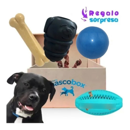 Imagen 1 de 8 de Mascobox Kit Mordelon Juguete Pelota Super Resistent Pitbull