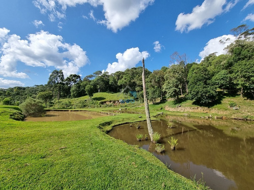 Imagem 19 de 30 de Linda Chacará Com Mais De 36.000 M², Situada Na Cidade De Quitandinha, Paraná. - Ch00019 - 70570203
