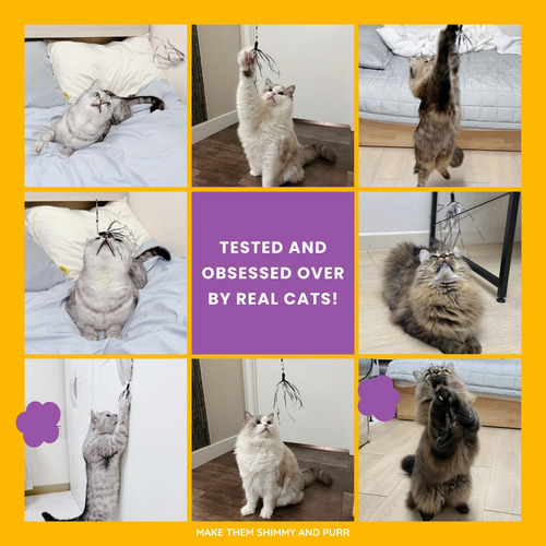 Shimmurr Cat Wand 38 - Juguete De Cuerda De Gato Retráctil C