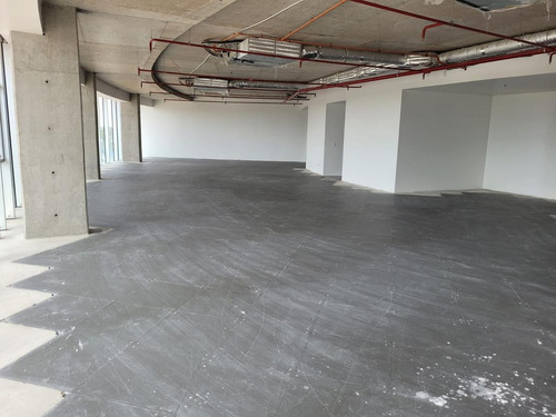 Imagen 12 de 27 de Edificio Comercial - Buenavista