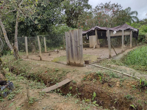 Imagem 7 de 14 de Chácara De 1 Alqueire De Terra Com Casa Simples Em Juquia Sp