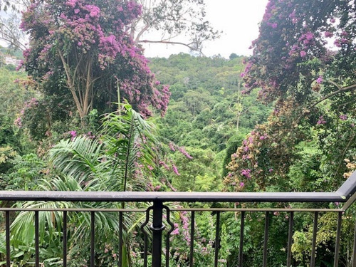 Imagen 18 de 24 de Se Vende Casa 1000m2 9h/8b/6p La Lagunita 0703