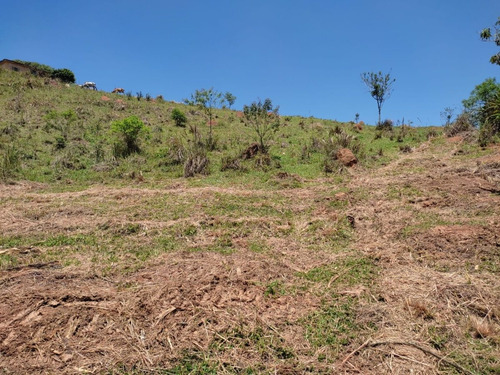 Imagem 8 de 8 de 1m Vendo Chácara Na Planta Em Mairiporã - Bairro Rio Acima