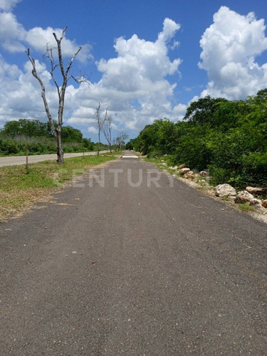 Terreno En Venta, En Chicxulub, Yucatán
