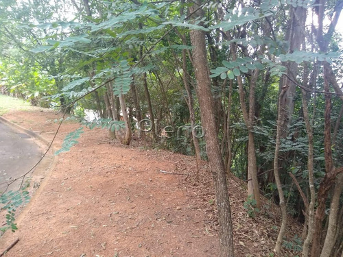 Imagem 4 de 15 de Terreno À Venda Em Joaquim Egídio - Te028079