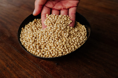 Feijão Manteiguinha De Santarém 100% Natural 500g - Manioca