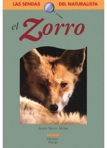 Zorro - Meia,jean-steve