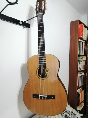 Guitarra Avalon 