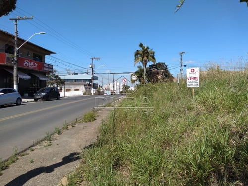 Imagem 1 de 7 de Terreno - Centro - Ref: 29590 - V-29588