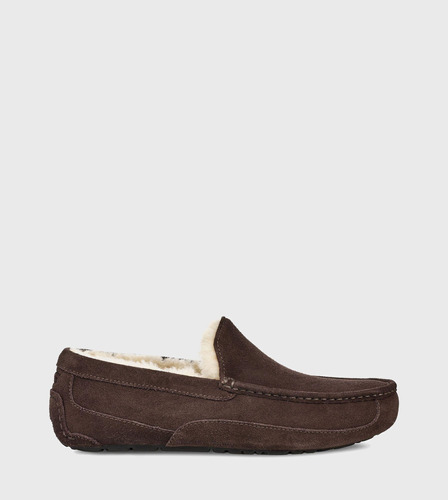 Pantuflas Hombre Ascot Café  Ugg