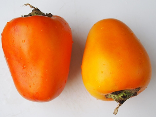 Imagem 2 de 4 de 50 Sementes De Cubiú Mana Cocona Solanum Sessiliflorun Fruta