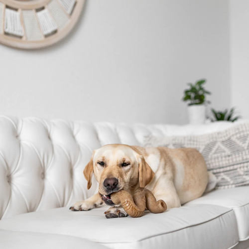 Hueso Masticable Benebone Tripbone Medium Juguete Perro