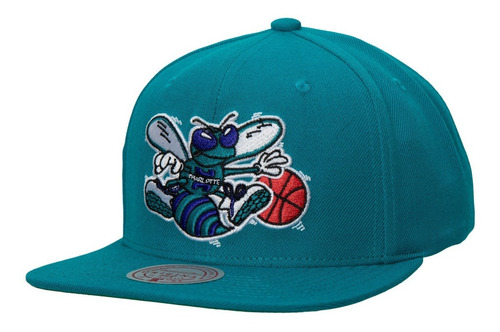 Gorra Mitchell And Ness Team Ground 2.0 New Charlotte Hornet