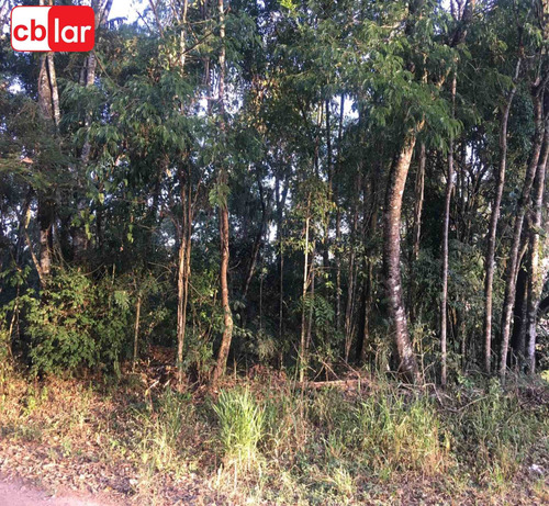 Imagem 2 de 6 de Terreno - Te00139 - 69302878