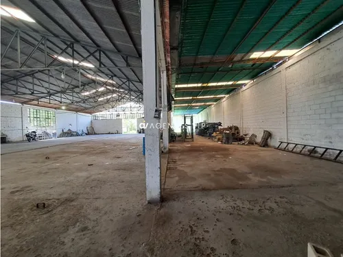 Alirio Ugarte Pelayo, Maturín