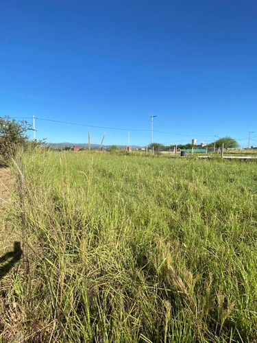 Lotes Llanos. Excelente Ubicación. Facilidades