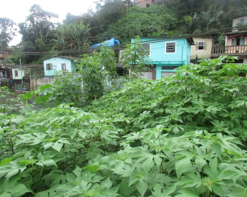 Imagem 5 de 15 de Juquitiba/terreno Para Moradia. - 04592 - 33229226