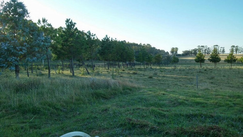 Inversión Asegurada En Las Garzas Rocha- Ref: 1097