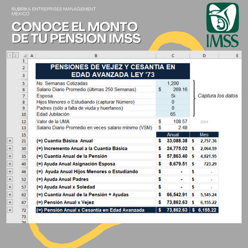 Simulador De Pension Imss Modalidad 40 - Archivo De Excel