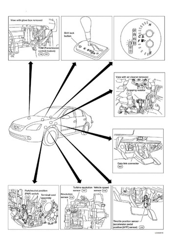 Manual De Reparabilidad Altima 2001-2006 (Usado)