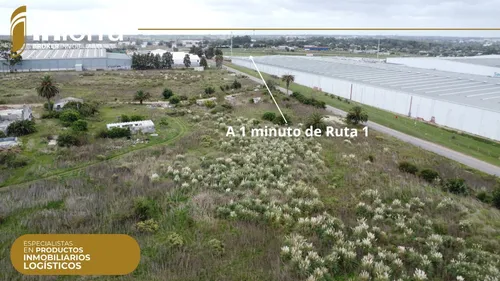Exclusivo. Venta Del Mejor Predio Disponible En La Zona Oeste De Montevideo. Sobre Camino Bajo De La Petisa A 1 Minuto De Ruta 1 Y A 15´del Puerto De Montevideo. Frente A Polo Oeste.