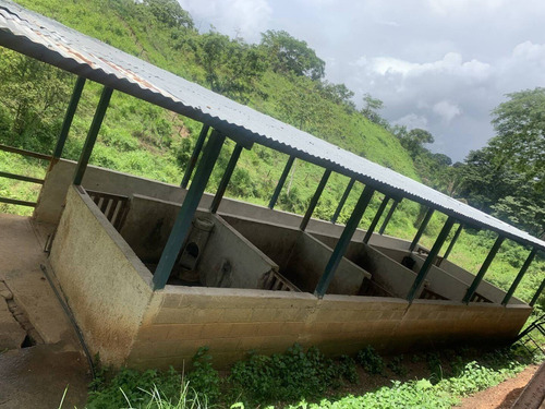 Imagen 4 de 14 de Venta Finca Tocuyito Carabobo Cod. 148247