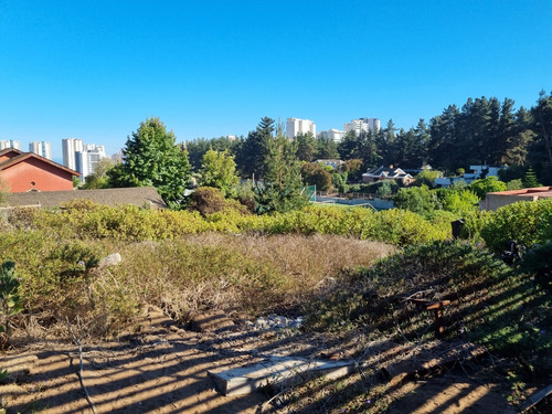 Excelente Terreno En Los Pinos