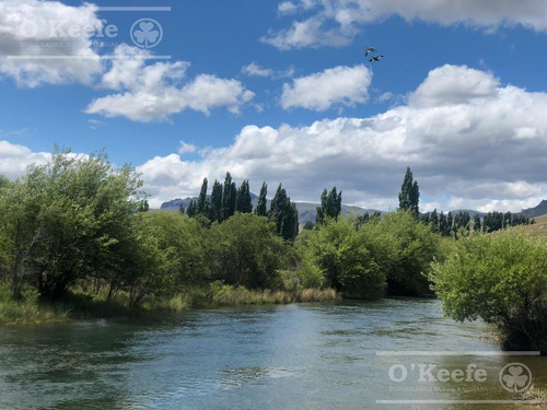 Imagen 21 de 30 de Campo En Venta En Rio Negro - Exclusivo Sobre El Rio Limay. Ideal Flyfishing!