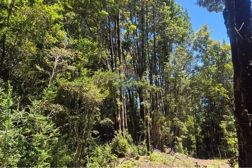 Venta Parcela C/ Acceso A Lago San Antonio Chiloe