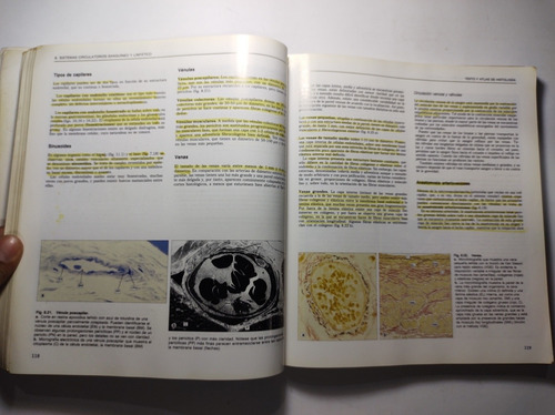 Texto Y Atlas De Histología , Stevens Y Lowe (Usado)